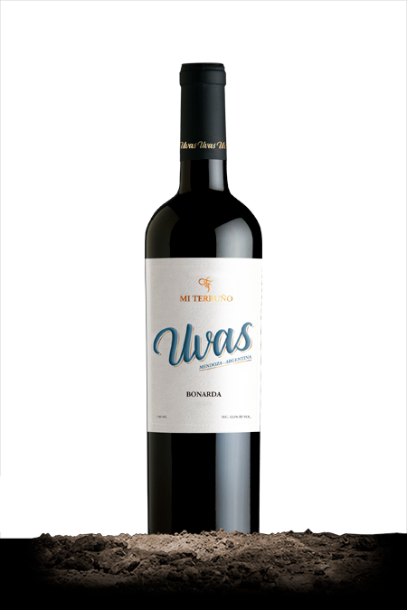 Uvas Bonarda