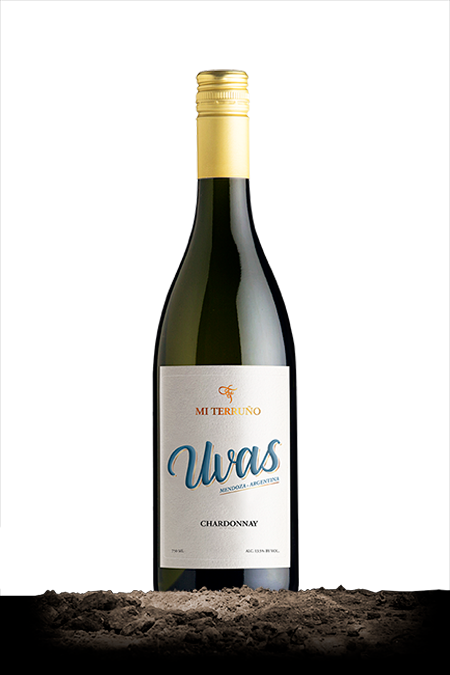 Uvas Chardonnay