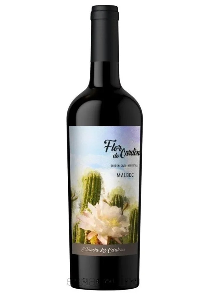 Flor De Cardon