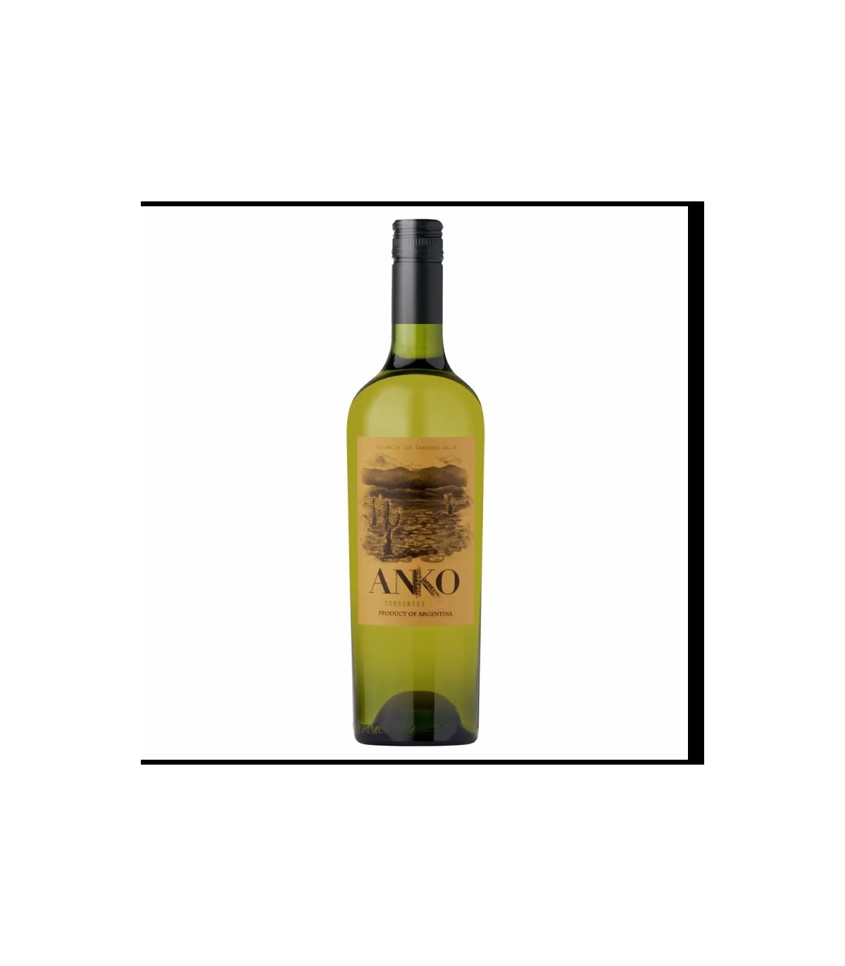 Anko Torrontes