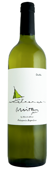Miras Semillon Jovem