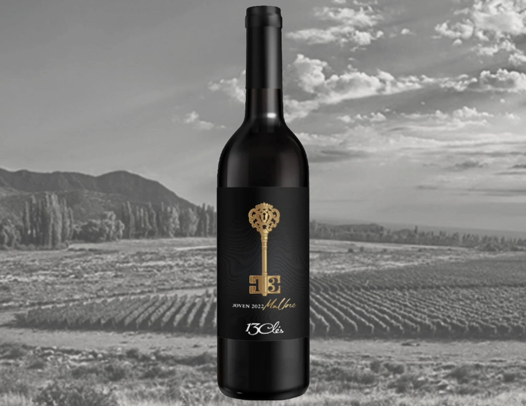 13 Cles Malbec Joven